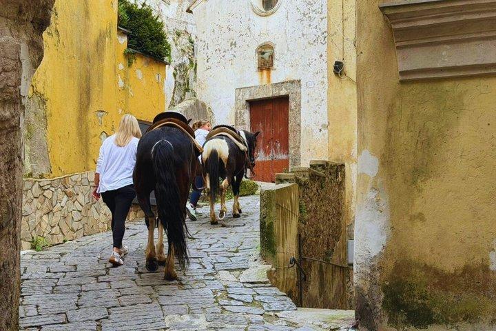 サレルノ: カヴァ・デ・ティレーニでの乗馬小旅行