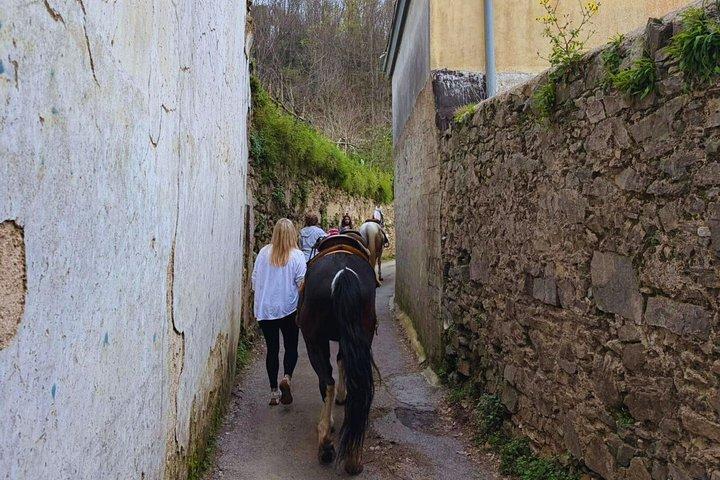 サレルノ: カヴァ・デ・ティレーニでの乗馬小旅行