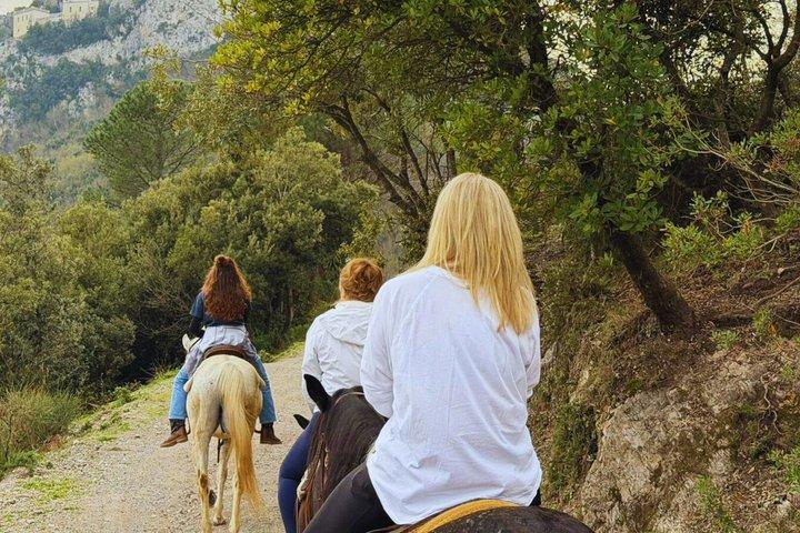 サレルノ: カヴァ・デ・ティレーニでの乗馬小旅行