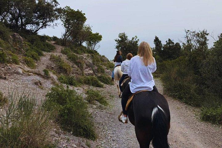 サレルノ: カヴァ・デ・ティレーニでの乗馬小旅行