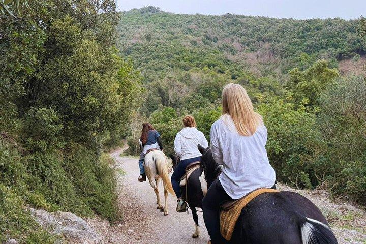 サレルノ: カヴァ・デ・ティレーニでの乗馬小旅行