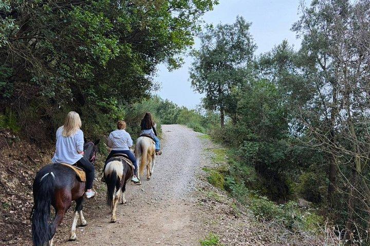サレルノ: カヴァ・デ・ティレーニでの乗馬小旅行