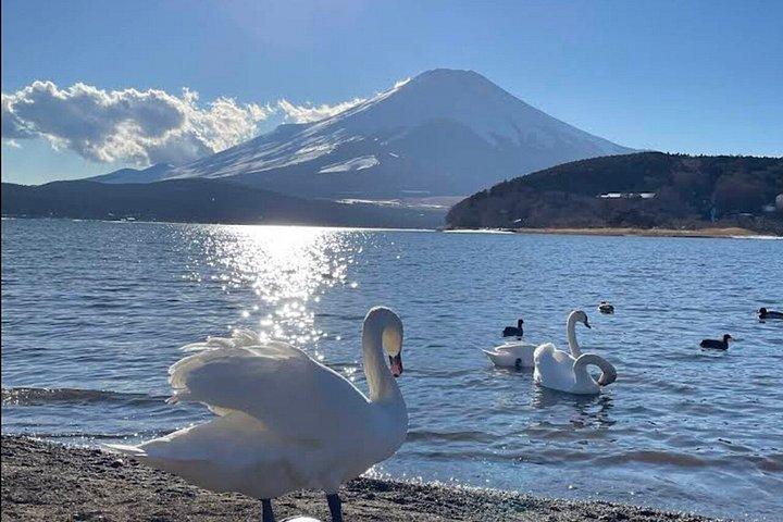 芦ノ湖大涌谷と神社を巡ろう富士山箱根ツアー