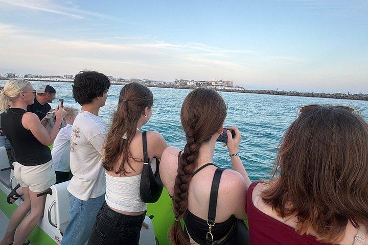 Croisière Dolphin à Destin FL
