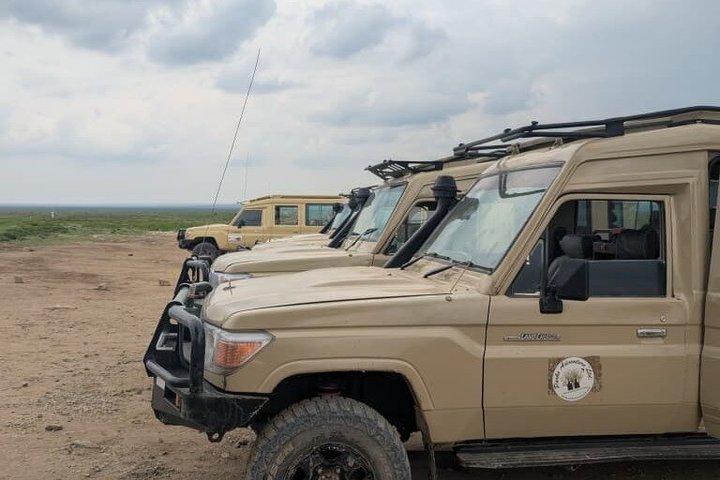 5 - Día Tanzania Safari Tours
