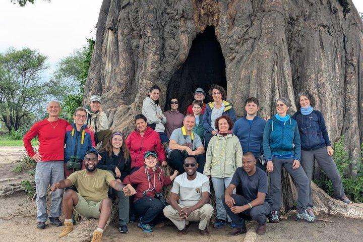 5 - Día Tanzania Safari Tours