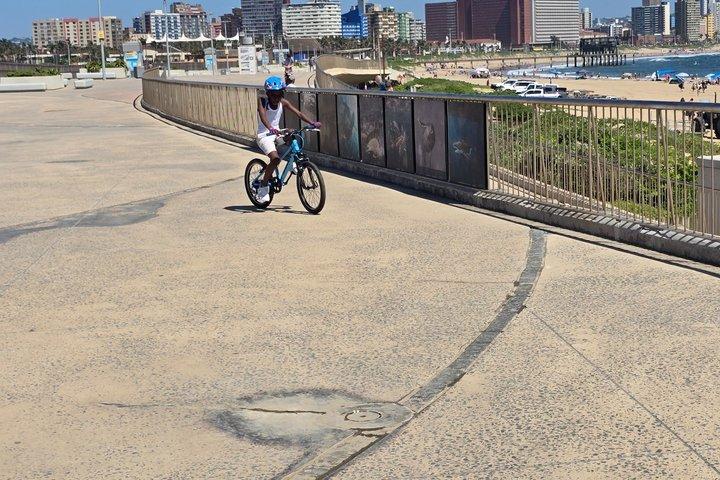 Durban City Highlights Leisure Tour