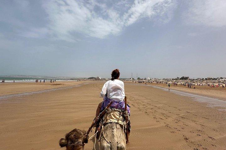 マラケシュ発プライベートエッサウイラ日帰り旅行