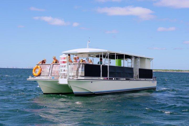 Dolphin & Sightseeing Cruise in Panama City Beach (1.5 hours)