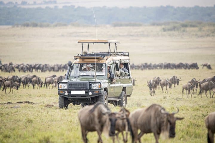 Masai Mara Four Day Shared Tour Safari Experience