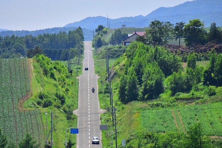 北海道：美瑛青い池と富良野フラワーファームへの日帰り旅行