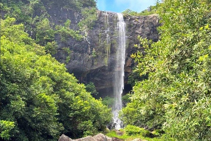 7つの滝ハイキング（ランチ付き）と南ツアー