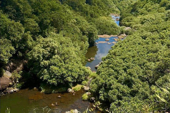 7つの滝ハイキング（ランチ付き）と南ツアー