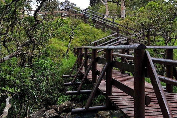 7つの滝ハイキング（ランチ付き）と南ツアー