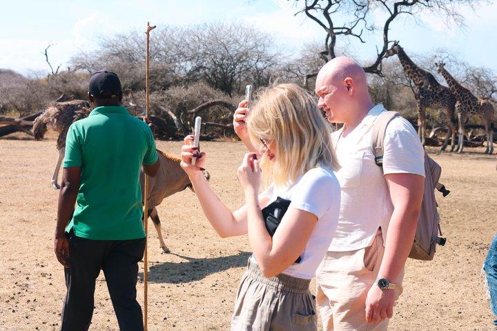 Mombasa kultur- og dyrelivserfaring