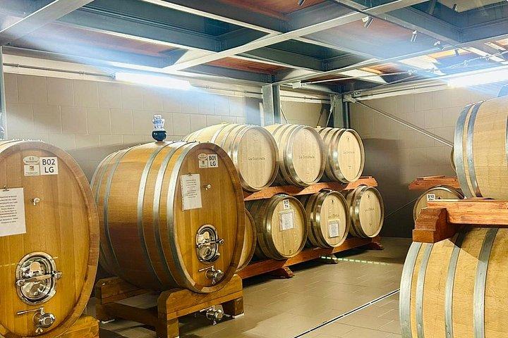 エトナの高級ワイナリーでのワインテイスティング、パルメントでのランチ、そしてドライバー