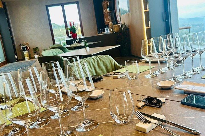 エトナの高級ワイナリーでのワインテイスティング、パルメントでのランチ、そしてドライバー