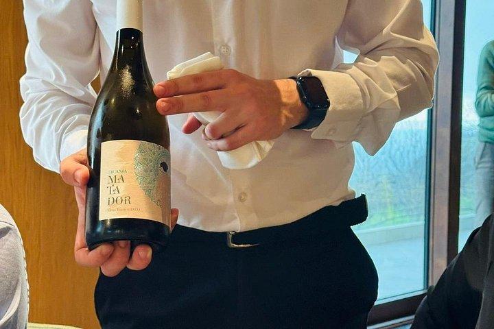 エトナの高級ワイナリーでのワインテイスティング、パルメントでのランチ、そしてドライバー