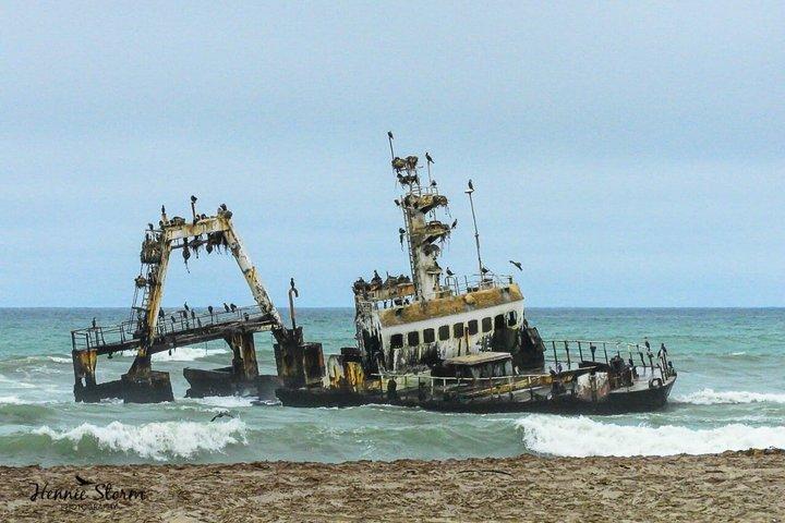 Skeleton Coast Cape Cross Seal kolonitur