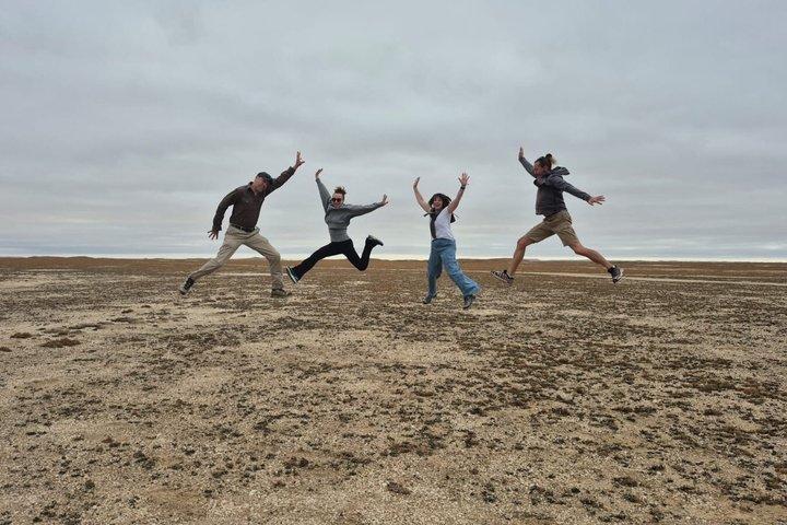 Skeleton Coast Cape Cross Seal kolonitur