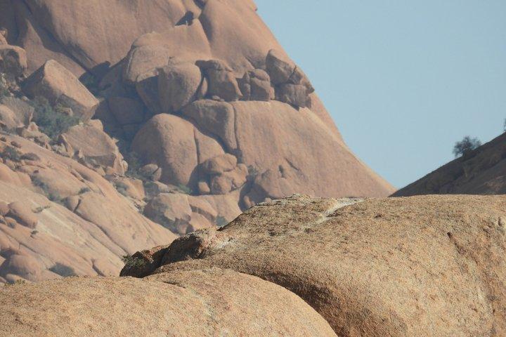 Excursion d'une journée à Spitzkoppe au départ de Swakopmund