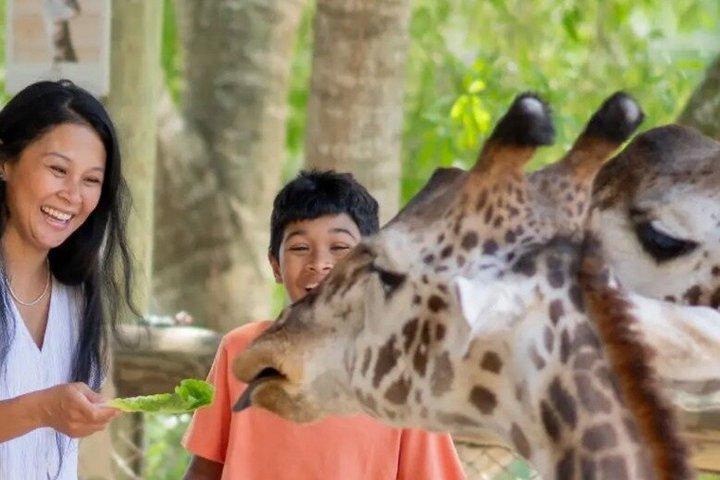 Ingresso generale allo zoo di Brevard