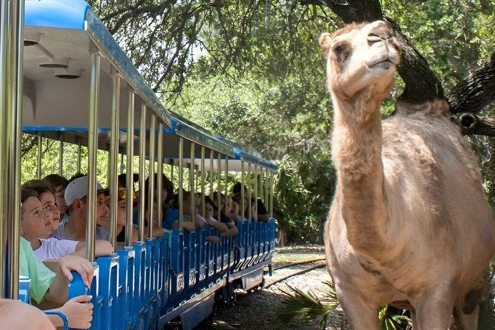 Ingresso generale allo zoo di Brevard