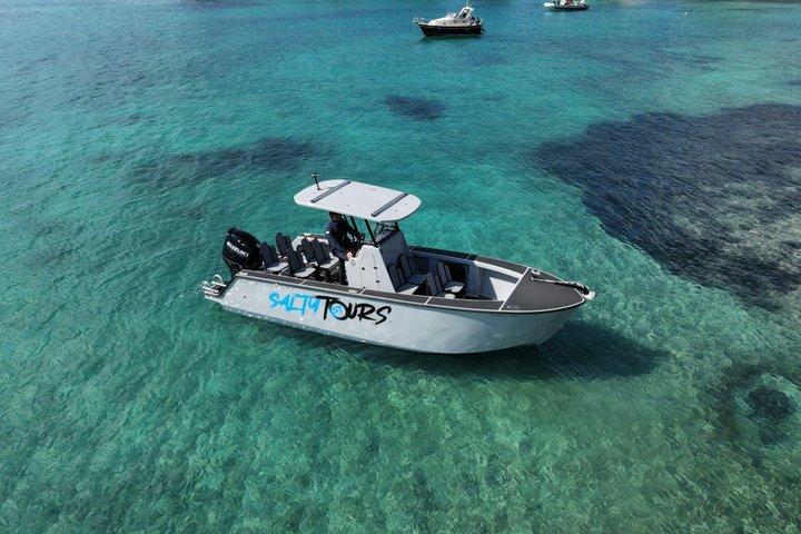 Mallorca: Bådtur i Palmabugten | Søscooter, snorkling, paddleboarding
