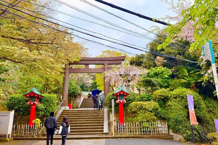 : Enoshima Retreat Private Walking Tour à Benzaiten et Iwaya