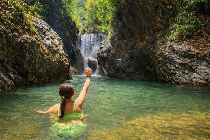 Escursione nella giungla di 4 ore e nuoto in cascata