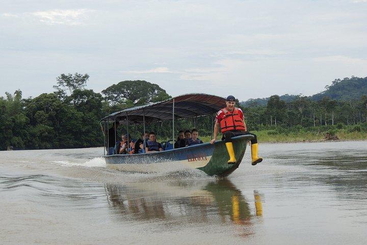 4-daagse privé Huaorani Amazon Adventure