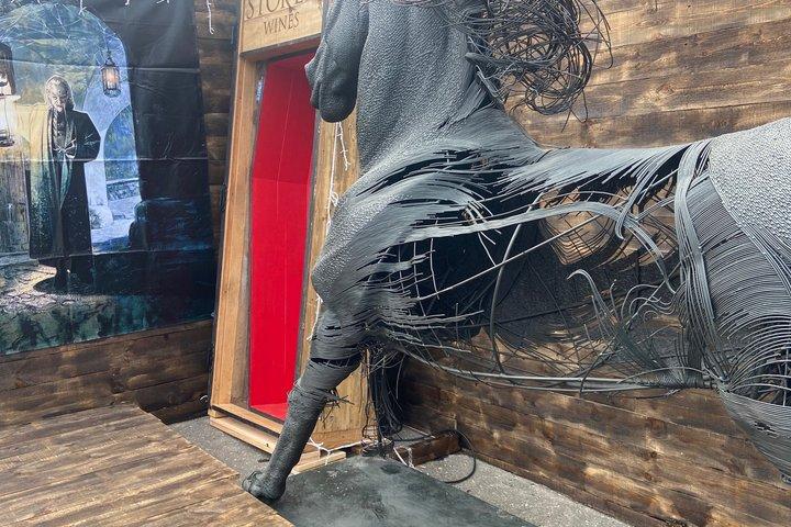 1日旅行ベアサンクチュアリ、ドラキュラ城、ブラショフからラスノフ要塞