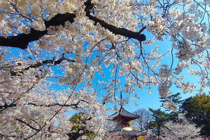 川越の見どころ 東京からの日帰り旅行