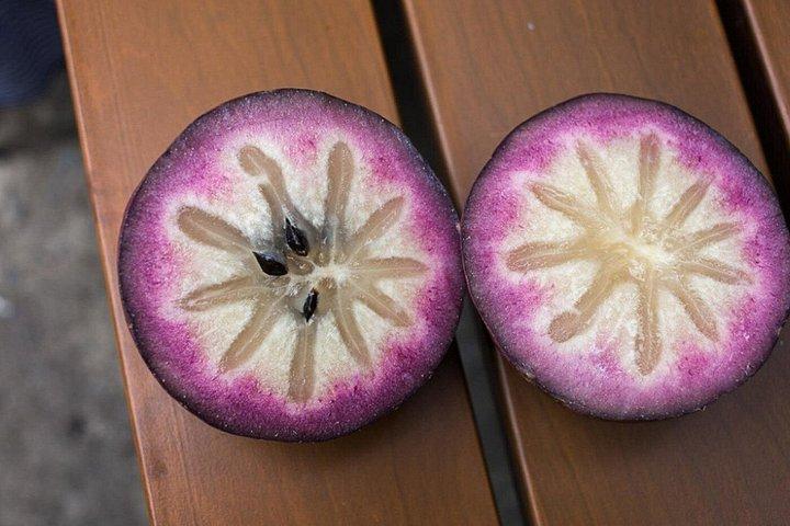 Fruit Tasting in Medellín with Tropical Flavors