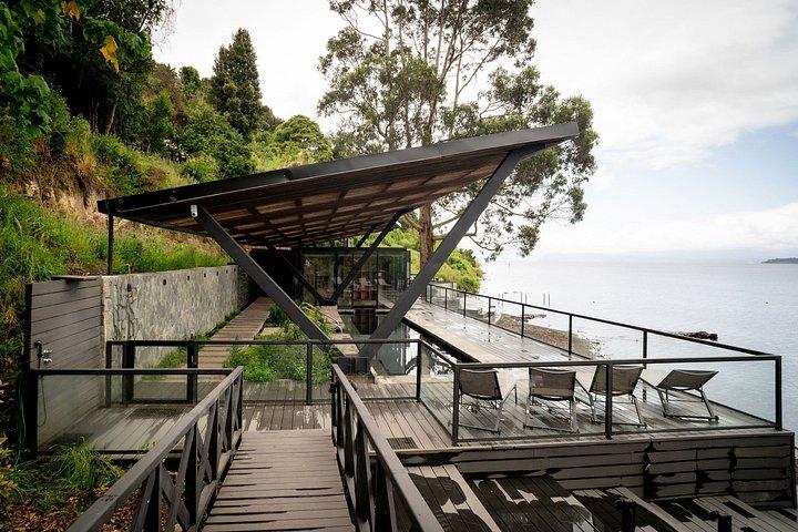 Bio Pass Reconnects Integral Wellness