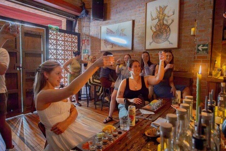 Mexico City Mezcal smagsoplevelse med ekspertguide