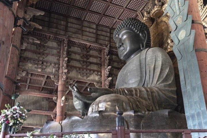 奈良（スペイン語）：大阪または京都からの送迎付きプライベートツアー