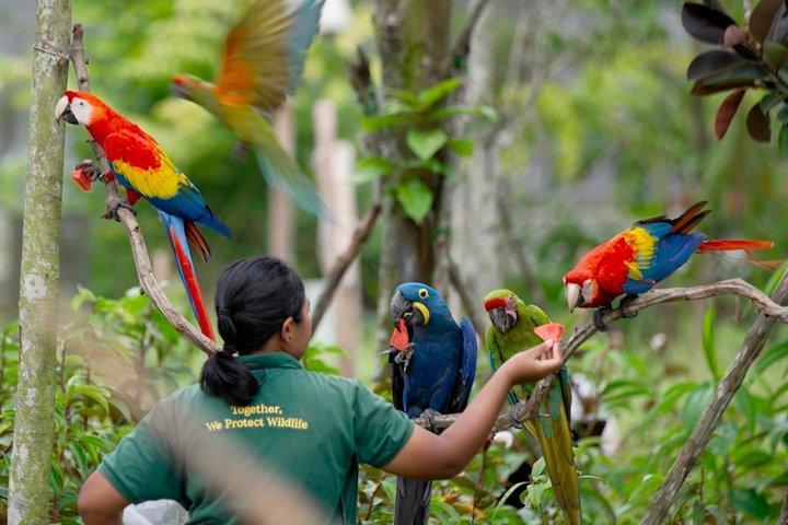 Bird Paradise Singapore Entrada