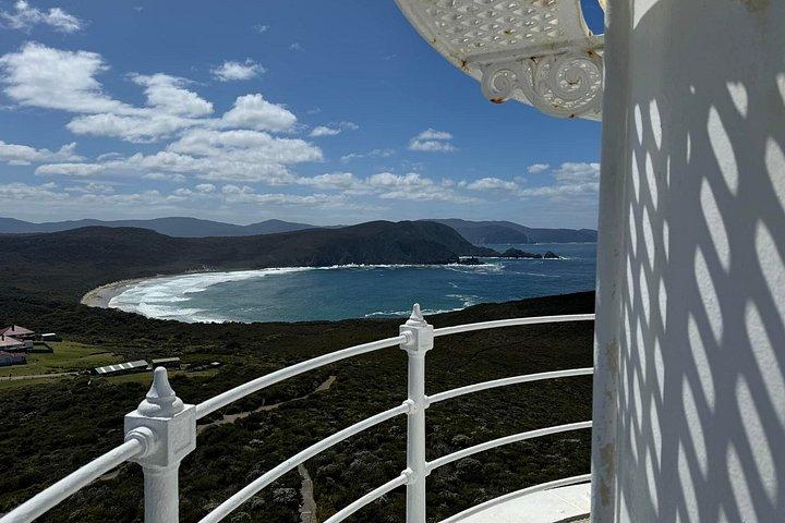 ブルーニー島全日ツアー（灯台限定）