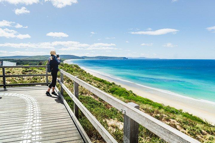 ブルーニー島全日ツアー（灯台限定）