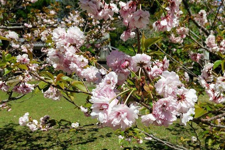 Nagasaki Private Historische Tour mit lizenziertem Guide