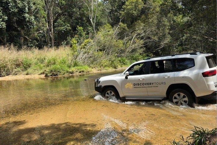 Private Half Day Tour: World Heritage Rainforest & Waterfall