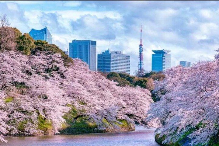 東京駅 : 都内ホテルへのプライベート送迎