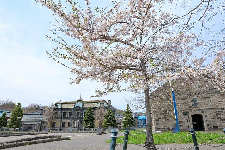 Private Customizable walking Tour in Otaru