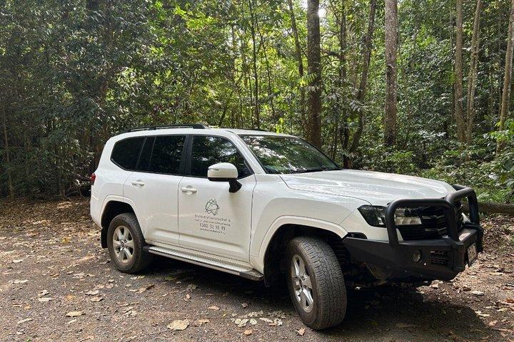 Private Half Day Tour: World Heritage Rainforest & Waterfall