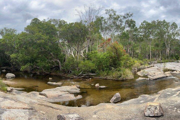 Private Half Day Tour: World Heritage Rainforest & Waterfall