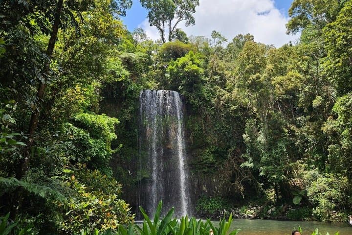 Paronella Park and Millaa Millaa Falls Full-day Tour from Cairns