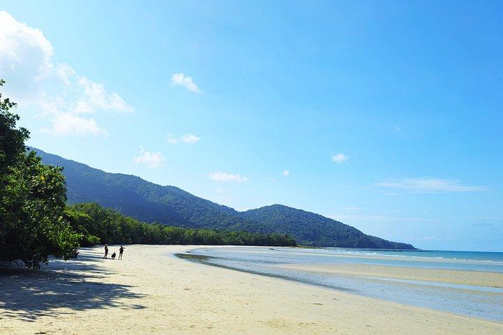 Private Cape Tribulation and Mossman Gorge Day Tour