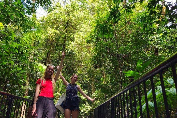 Private Cape Tribulation and Mossman Gorge Day Tour