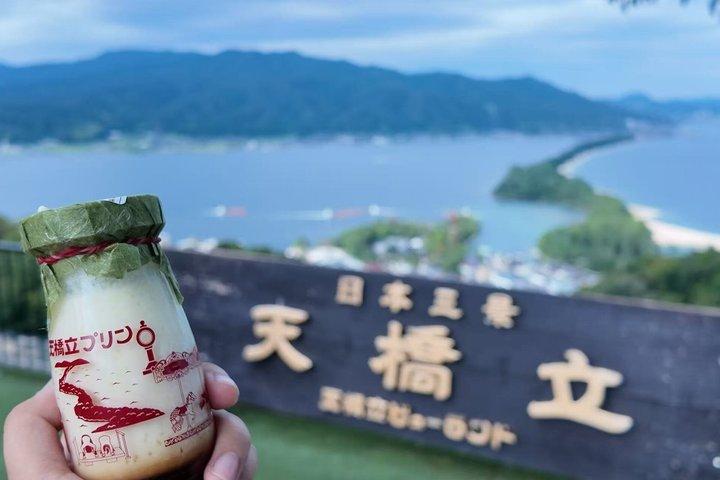 ケーブルカー＆ボートで行く天橋立＆伊根日帰り旅行